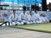 Pokaz karate