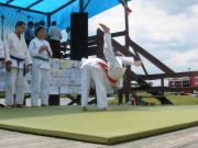 Pokaz karate