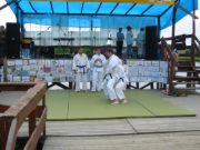 Pokaz karate