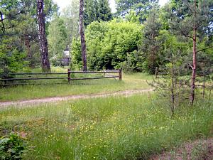 Rozmiar: 22296 bajtw