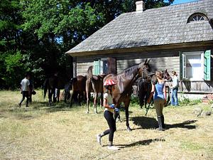 Rozmiar: 22296 bajtów