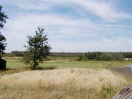 016.jpg (35742 bytes)