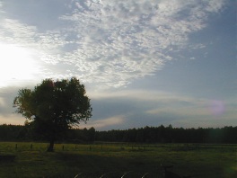 116.jpg (25216 bytes)