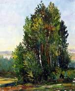Rozmiar: 6930 bajtów